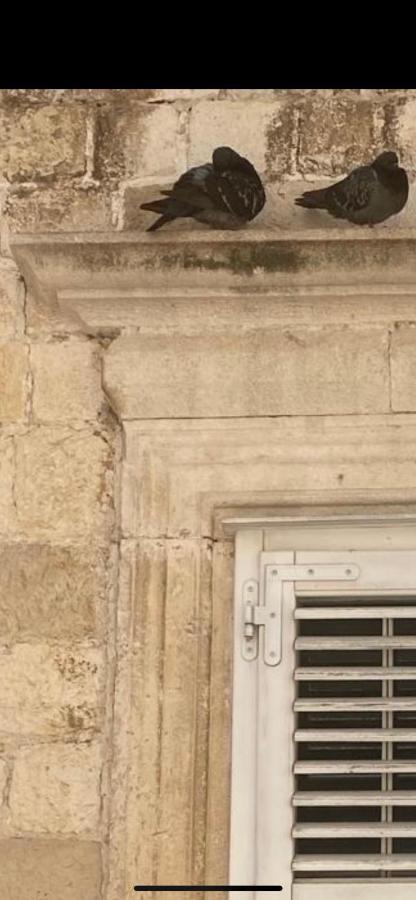 Elephant In My Room Dubrovnik Exterior foto